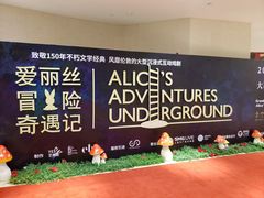 -爱丽丝冒险奇遇记