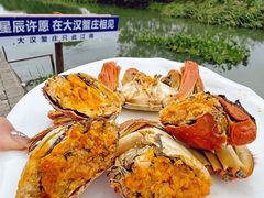 -阳澄湖半岛旅游度假区