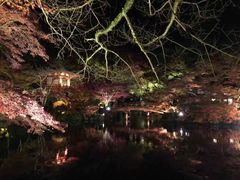 -醍醐寺