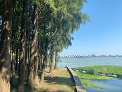 -明翠湖品·湖景餐厅
