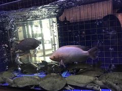 -徐记海鲜(观沙岭|滨江新城店)