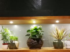 -十二舍·湯物素煮(江泰潤政店)