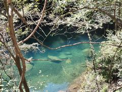 -石台牯牛降景区