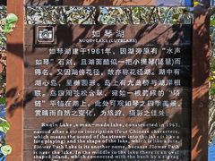-庐山风景区花径公园