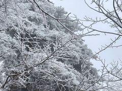 -浙西天池景区