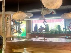 -ZOO COFFEE动物园咖啡(红山森林动物园店)