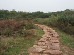 -盘龙城国家考古遗址公园