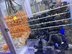 -天天玩X秋葉原日系动漫游戏中心