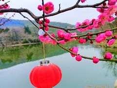 -云水涧亲子度假酒店