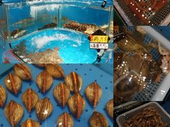 -潮庭·大连海鲜·炭火烧烤·扇贝王(大连店)
