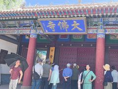 -张掖大佛寺景区