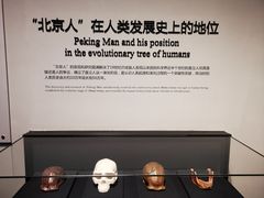 -北京周口店北京人遗址博物馆