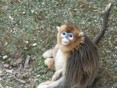 -济南野生动物世界