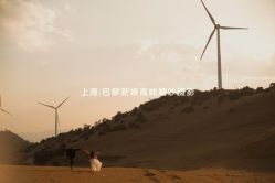 点击看大图 -巴黎新娘婚纱摄影·婚礼策划(嘉定总店)