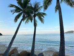 -日落吧·海景咖啡厅·餐酒吧·鸡尾酒·下午茶·乐队表演·浪漫夕阳·三亚文华东方酒店