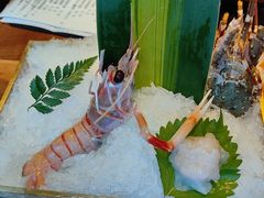 -Mr.Fish鱼鲜生海鲜放题(高德置地冬广场店)