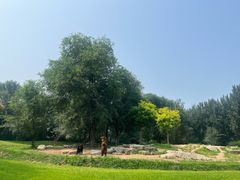 -北京野生动物园