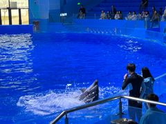 -石家庄市动物园