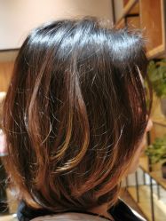 短发-曼都发型·臻选