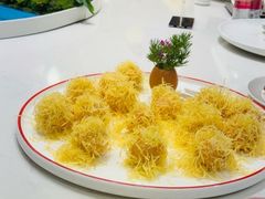 -丁老爷子苏香圆