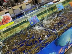 水产区-东江海鲜酒家(艺都分店)