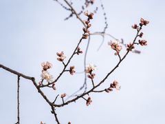 -北京凤凰岭