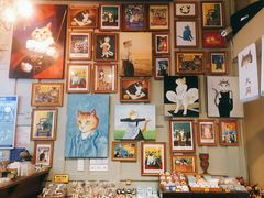 -猫咪博物馆(顶澳仔猫街店)