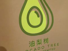 -油梨树 AVOCADO TREE(亮马桥店)