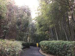 -天目湖涵田度假村