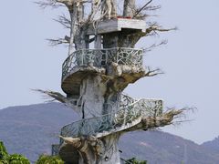 -芒洲湿地公园