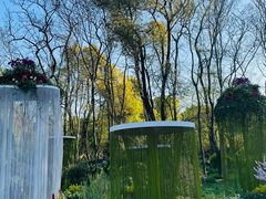 -上海共青森林公园