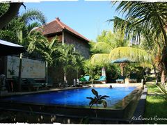 游泳池-飞鱼&摩娜潜水度假村