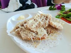 -云中小雅