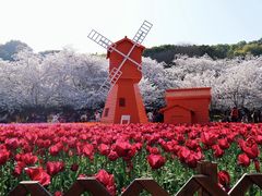 -上方山森林动物世界