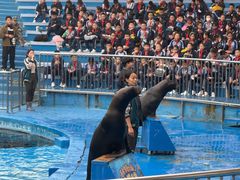 -华夏文旅海洋公园