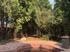 -京津新城温德姆至尊酒店(珠江大道店)