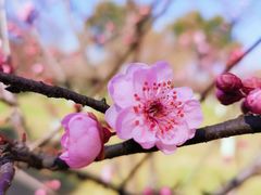 -西溪天堂商业街-停车场