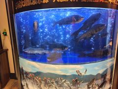 -潇湘码头·鲜湘菜(清河店)
