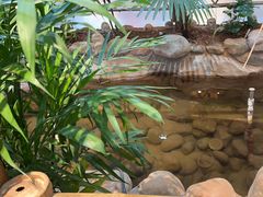 -庭苑饭香·生态餐厅(动物园店)