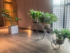 -苏州平江万达广场美居酒店