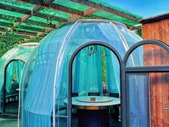 -遇见阿家村云南菜(魏公村店)