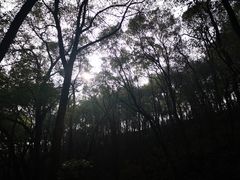 -东湖磨山景区