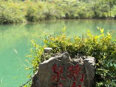 -靖西鹅泉风景区