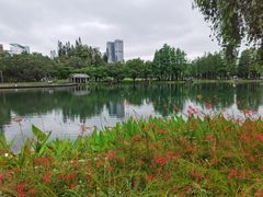 -四海公园(南山区)