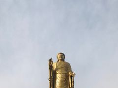 -中原大佛景区
