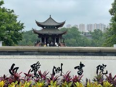 -白鹭洲书院