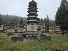 -洛阳宴·洛阳菜(南昌路店)