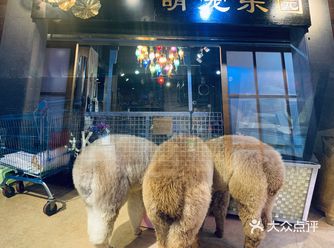 广州探店｜超萌宠雨泠林