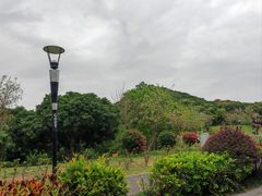 -立新湖公园