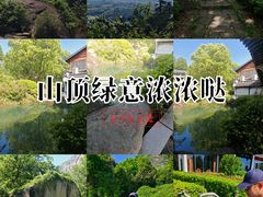 -莲峰云海景区